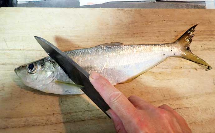 釣った魚で作る「スナック」レシピ：ヒラのチップス　米粉で揚げればサクサク感が持続