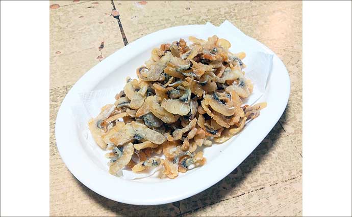 釣った魚で作る「スナック」レシピ：ヒラのチップス　米粉で揚げればサクサク感が持続
