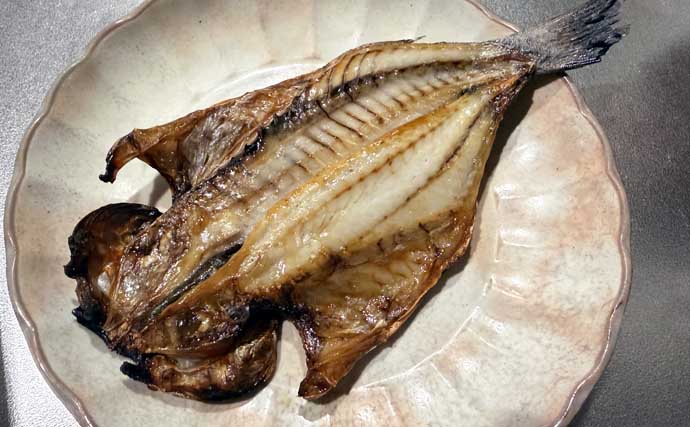 東京湾でイサキ100匹超えの大爆釣！【太郎八丸】旬魚を刺身・真子の煮付け・一夜干しで堪能