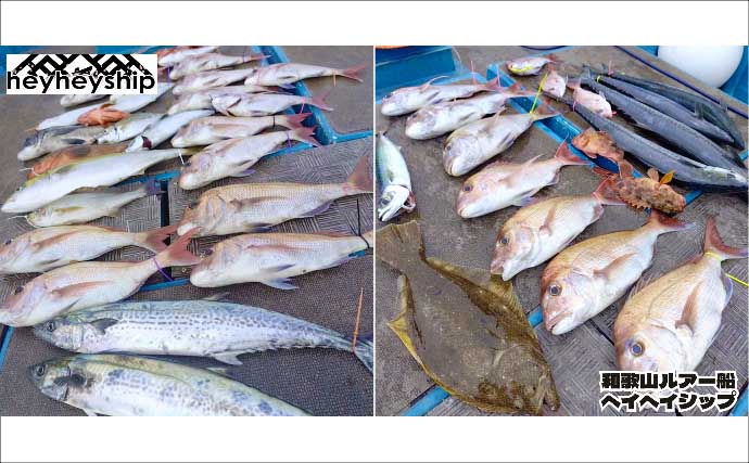 関西エリアの【船釣り特選釣果7選】 イカメタルでスルメ交じりでシロイカ50匹超え！