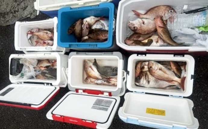 関西エリアの【船釣り特選釣果7選】 イカメタルでスルメ交じりでシロイカ50匹超え！