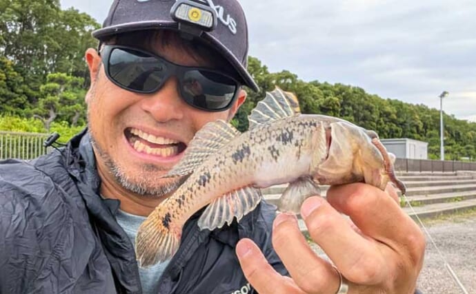 碧南海釣り広場でのチョイ投げ釣りで17cmドデカい「ウロハゼ」登場！【愛知】