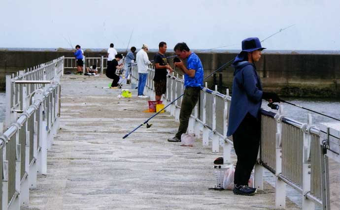 白子漁港のサビキ釣りでサッパ26匹【三重】投げサビキでブロック周りを狙い撃ち！