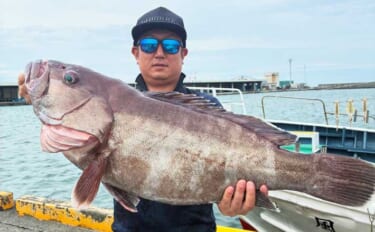 金洲のスルメイカ泳がせ釣りで8kg大型マハタ堂々浮上！【船釣り最新情報…