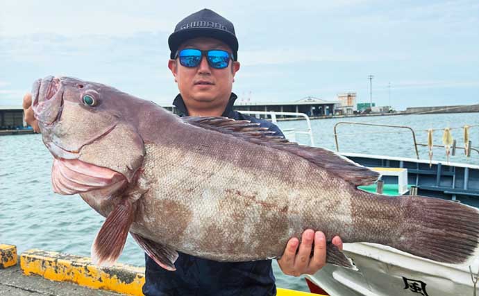 金洲のスルメイカ泳がせ釣りで8kg大型マハタ堂々浮上！【船釣り最新情報10選・東海】