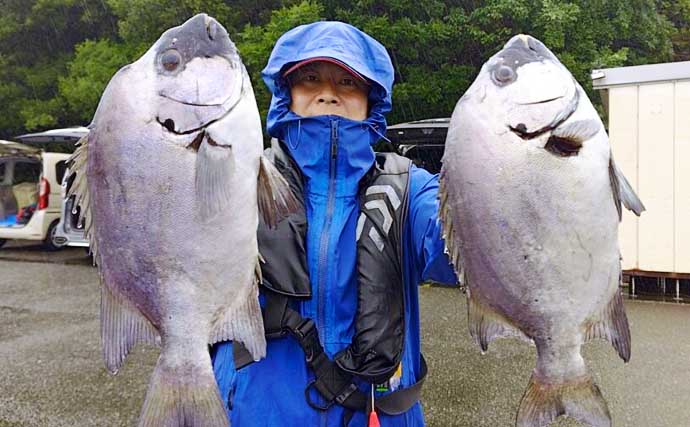 金洲のスルメイカ泳がせ釣りで8kg大型マハタ堂々浮上！【船釣り最新情報10選・東海】