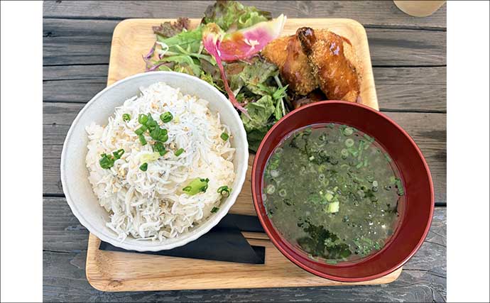 釣具屋主催の船シロギス釣行会に参戦【ちがさき丸】釣り初体験でも本命キス手中！