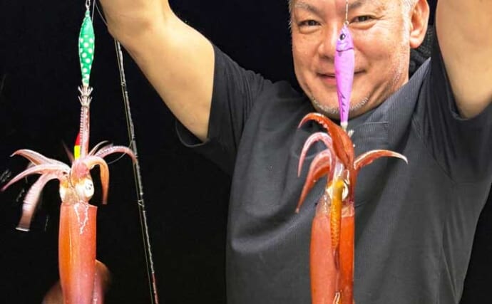 イカ100匹超え釣果続々！玄界灘・響灘ともに絶好調【夜焚きイカ釣果速報20選・福岡】