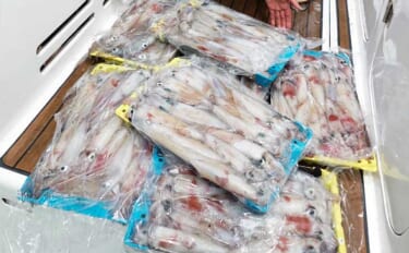 イカメタルで100尾超え！夜焚きイカ好調キープ中【響灘エリアの沖釣り釣…