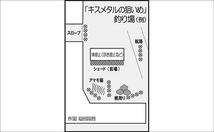 メタルジグで大型シロギスを狙ってみた【佐賀】着底と同時に27.5cmでかキスがヒット！