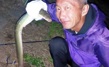 関東ウナギ釣り釣果レポート：本命ウナギ他5魚種登場の五目釣りを満喫【古…