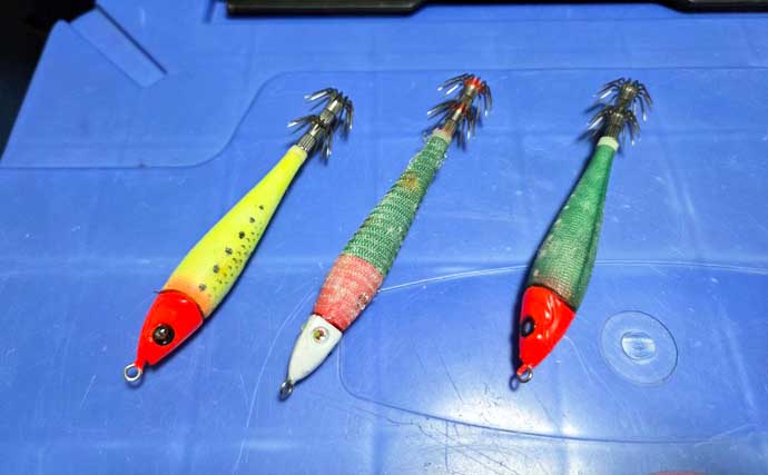 ケンサキイカ狙いのイカメタル入門 【魅力・タックル・仕掛け・釣り方・持ち帰り方を解説】
