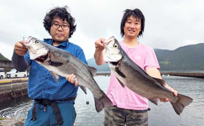 尾鷲湾で良型ヒラスズキにオオモンハタが狙いどき！【沖のルアー釣り最新情報8選・三重】