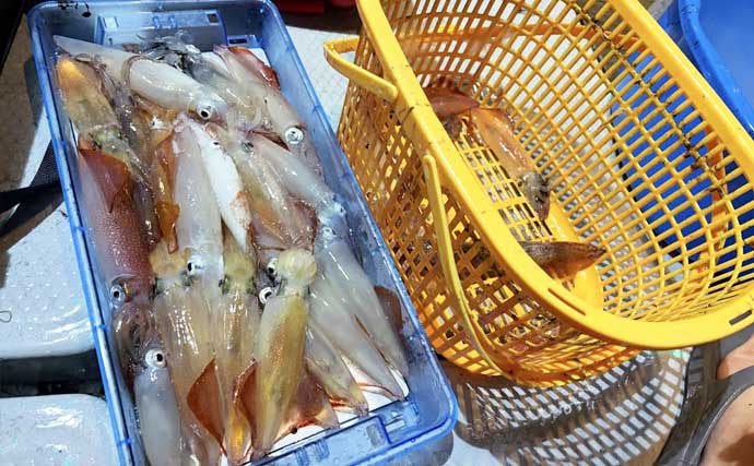 尾鷲湾で良型ヒラスズキにオオモンハタが狙いどき！【沖のルアー釣り最新情報8選・三重】