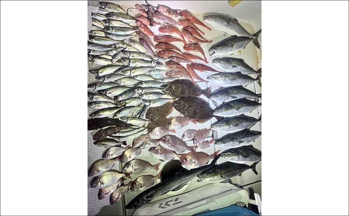 オフショアジギングでタチウオが好反応！【船のルアー釣り最新情報5選・愛知】