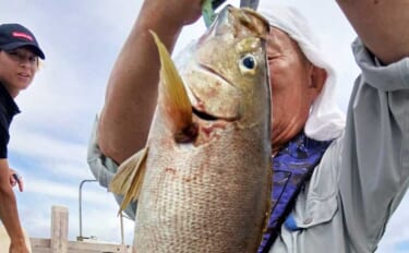 53cmモンスターイサキ！大分沖で良型イサキ続々【船釣り最新情報6選・…