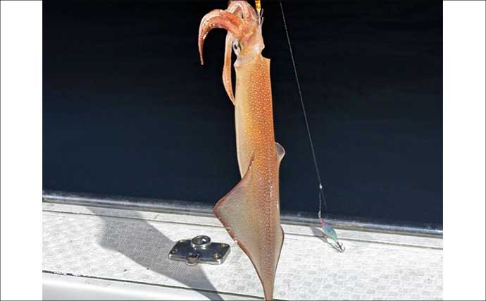 17kgヒラマサ獲った！平戸沖ジギングでヒット【沖釣り釣果速報6選・長崎／佐賀】