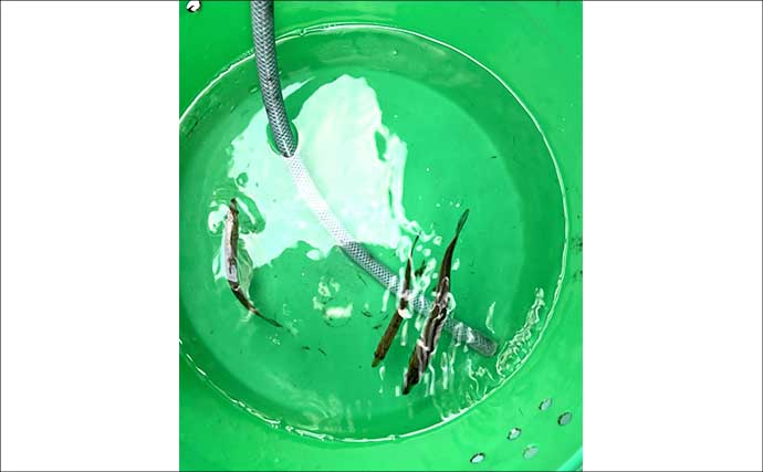解禁直後の飯岡沖ヒラメ釣りで2kg超え本命手中【千葉】低活性の魚を好感度＆軽量タックルで攻略