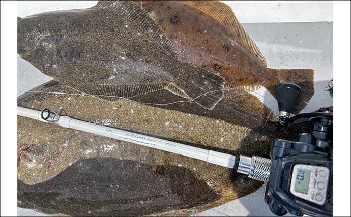解禁直後の飯岡沖ヒラメ釣りで2kg超え本命手中【千葉】低活性の魚を好感度＆軽量タックルで攻略