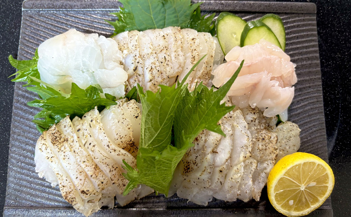 解禁直後の飯岡沖ヒラメ釣りで2kg超え本命手中【千葉】低活性の魚を好感度＆軽量タックルで攻略