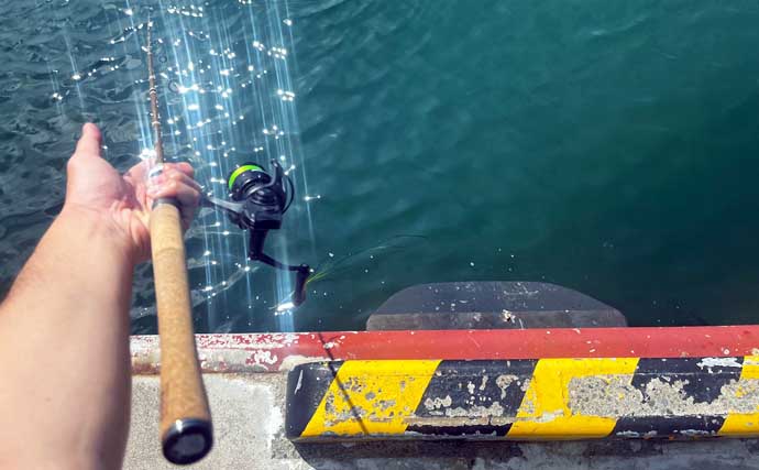 初夏の北海道で30cm級アイナメ連発！ パックロッド片手に噴火湾をランガン