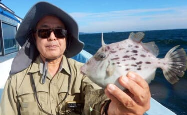 夏カワハギ釣りで本命13匹キャッチ【石川丸・愛知】タルマセ釣りで強風＆…