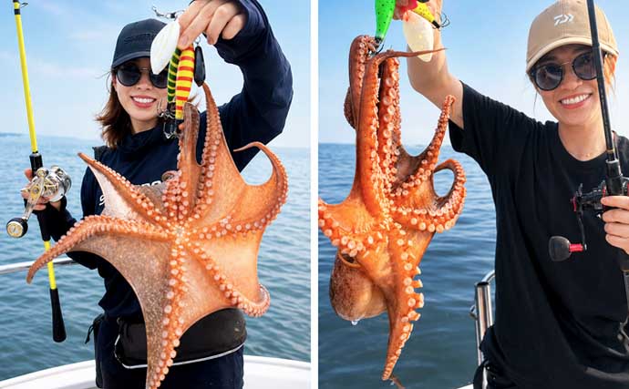 エギタコ釣りで船中マダコ50匹超え！数釣りのチャンス到来【沖のルアー釣果速報12選・愛知・三重】