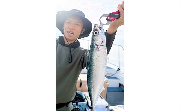 エギタコ釣りで船中マダコ50匹超え！数釣りのチャンス到来【沖のルアー釣果速報12選・愛知・三重】