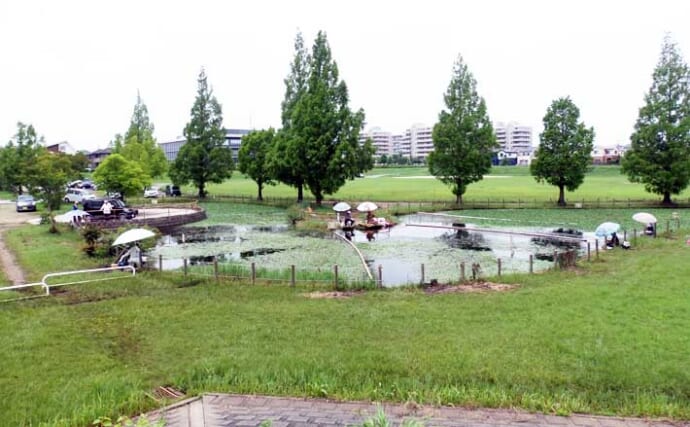 今週のヘラブナ推薦釣り場2026【埼玉・吉川運動公園】