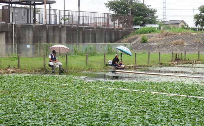 今週のヘラブナ推薦釣り場2026【埼玉・吉川運動公園】