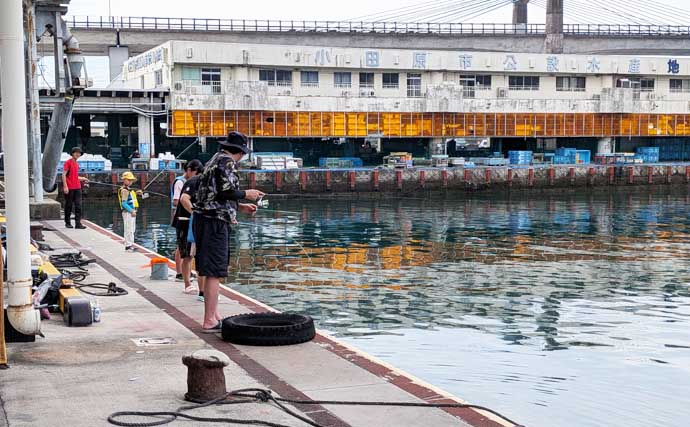 ファミリーフィッシングにオススメ！ 「小田原漁港（早川港）」はこんなとこ