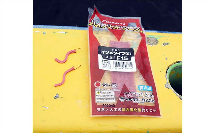 船シロギス釣りで平均20cm級の良型本命が連発！【東京湾】ハイブリッドクロスに好反応