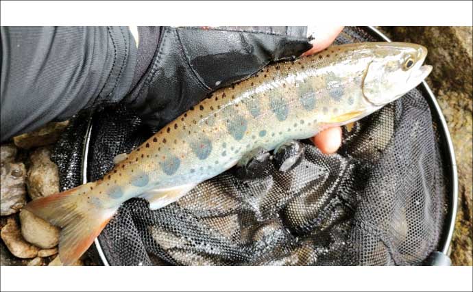 独特な渓流釣りワード「ウケ」ってなに？　知れば良型キャッチ率がアップ