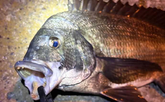 釣りのベテランはデータよりも「勘」を信じる　「今日は釣れそう」の感覚とは？