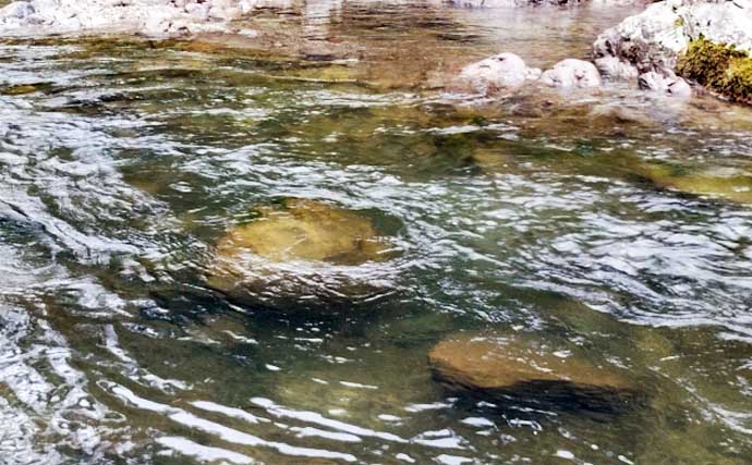 渓流釣りの極細仕掛けはいつまで使える？　リセットのタイミングを解説