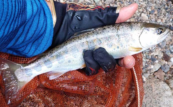 渓流釣りの極細仕掛けはいつまで使える？　リセットのタイミングを解説