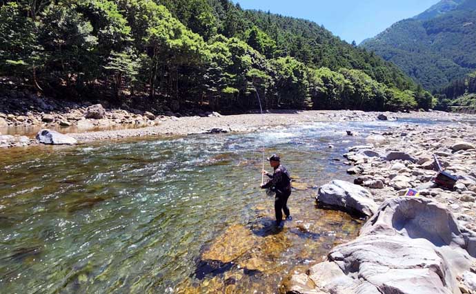 2026盛夏のアユ友釣りを攻略しよう！【ポイント選び方・タックル・仕掛け・釣り方を解説】