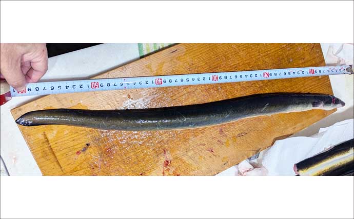 宮川でブッコミ釣りで60cm級を頭にウナギ3匹！【三重】3種のエサを比較してみた