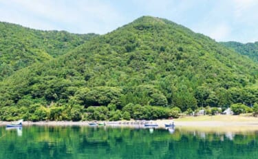 今週のヘラブナ「ピックアップ」釣り場2026【山梨・西湖】