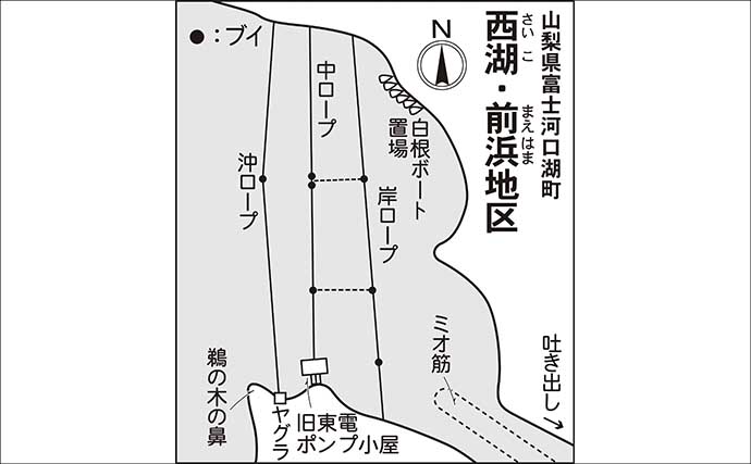 今週のヘラブナ「ピックアップ」釣り場2026【山梨・西湖】
