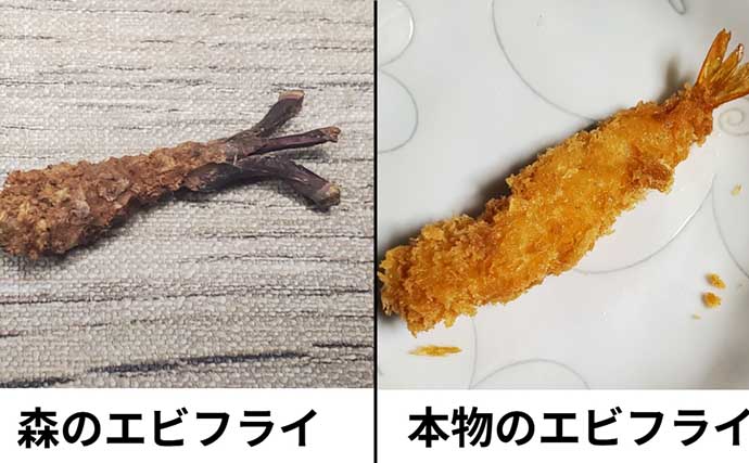 リスが作った天然ルアー「森のエビフライ」で釣りしてみた　狙い通りキジハタがヒット！