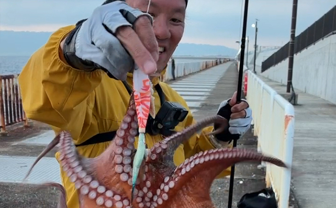 【大阪南港魚つり園】マダコ釣りが好調継続　600g超え2杯含む20杯の好釣果！