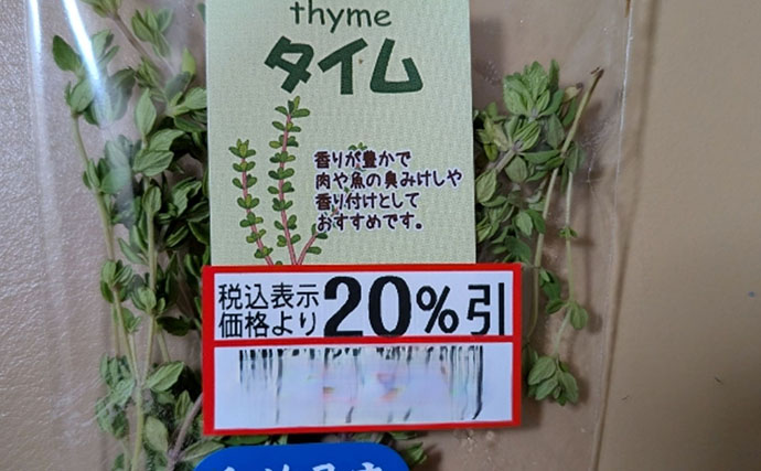 マダコ釣り開幕！釣ったタコで作る絶品「アヒージョ」　下処理からレシピまで解説