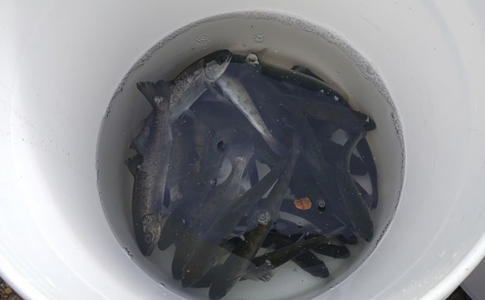 「やってみると意外と簡単？」渓流餌釣りを楽しむ3つの視点【場所選び・準備・釣り場での工夫】