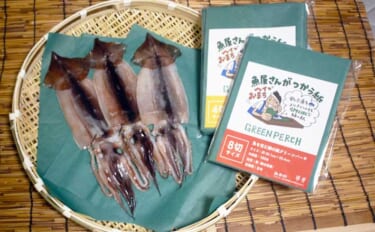 釣り人の特権『イカの沖干し』は寝かせるともっとウマい？ 3種の保存方法を徹底検証