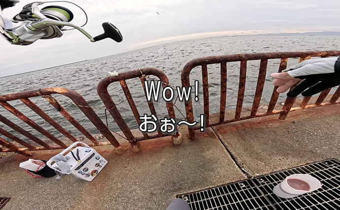 関西サビキ釣り釣果速報：夕マヅメの『大阪南港魚つり園』で豆アジ入れ食いで47匹手中