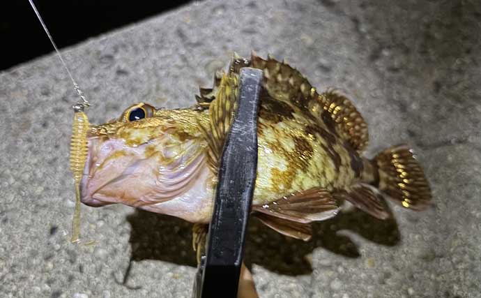 陸っぱりルアーフィッシングは「1投目」が超重要　釣れる期待度が最も高いのも「1投目」！