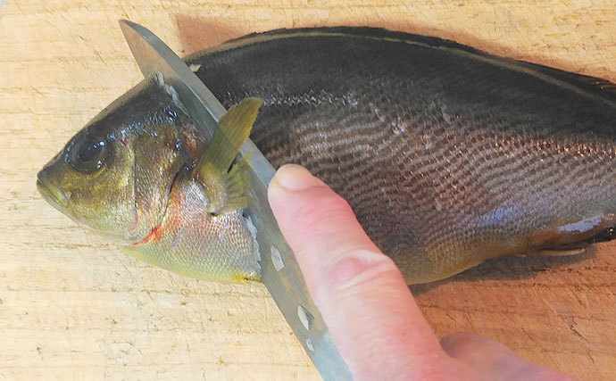 釣った魚で作る「ご飯のお供」レシピ：イサキの田楽風　山椒をアクセントに