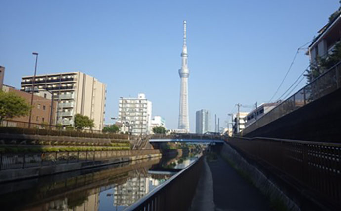東京23区でハゼ釣りシーズンが開幕！ デキハゼ5～10cmが52匹とスタートダッシュに成功