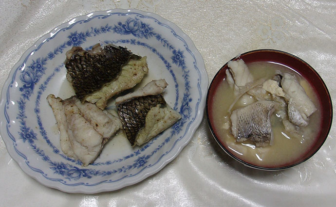 岸和田沖一文字の落とし込み釣りで43cmチヌをキャッチ！ 上り潮狙いが的中か